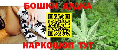сатива Кунгур